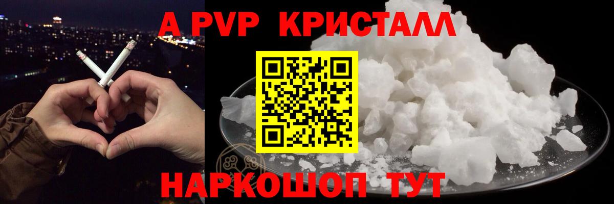 A PVP СК КРИС Асино