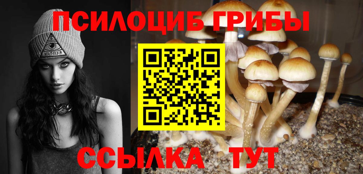 Асино  Галлюциногенные грибы GOLDEN TEACHER  купить наркотик  Вход с VPN  Псилоцибиновые грибы Magic Shrooms 